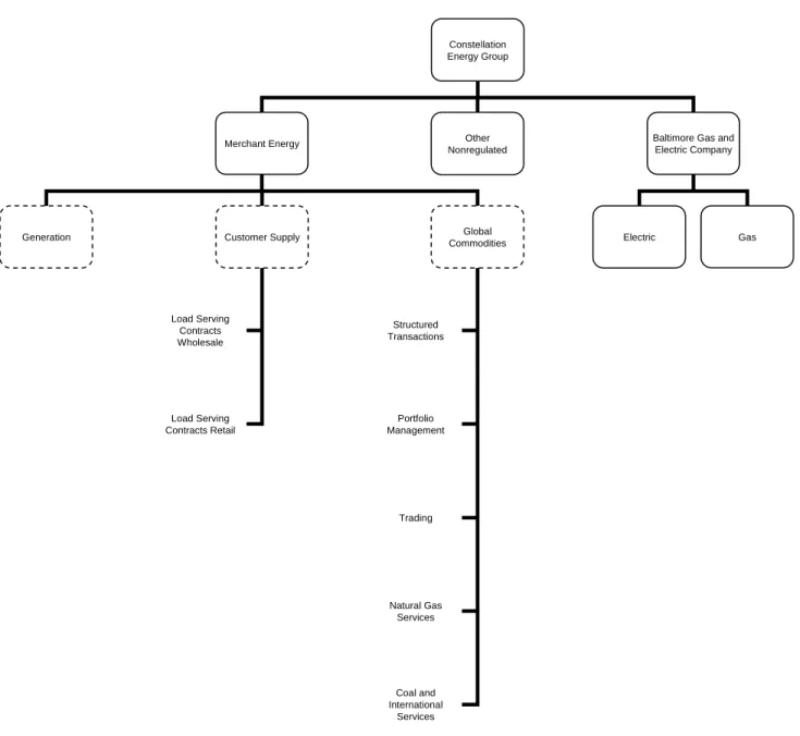 Figure 10: Constellation Financial Reporting Structure, 1 st &amp; 2 nd Quarter, 2008
