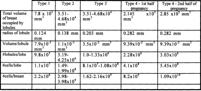 Table  3 - Values  of parameters  obtained  necessary  for  the  order  of magnitude  estimate  of the number  of epithelial cells  at risk in the  breast