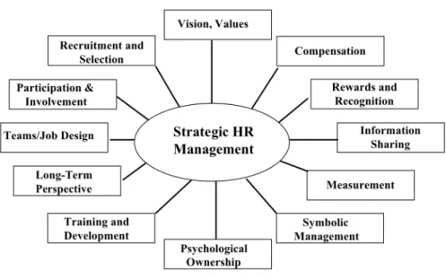 Figure 5-2: Strategic HR Management and Design Levers 