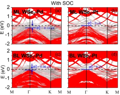 Figure 5. Band structures of (a,b) ML and (c,d) BL WSe 2  on (a,c) Pd, and (b,d) Pt surfaces  with the SOC effects, respectively
