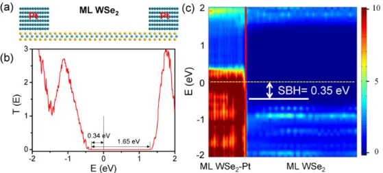 Figure 7. Simulation of a ML WSe 2  transistor with Pt as electrodes without inclusion of the  SOC
