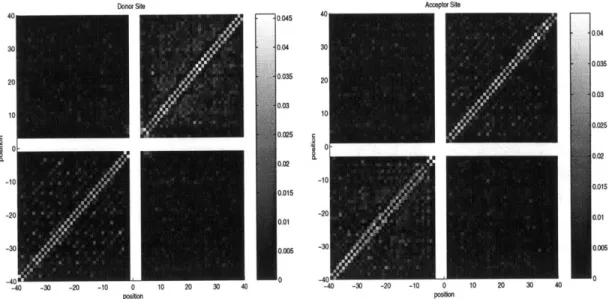 Figure  3-1:  Correlation  Matrices  for  donor  and  acceptor  splice  sites