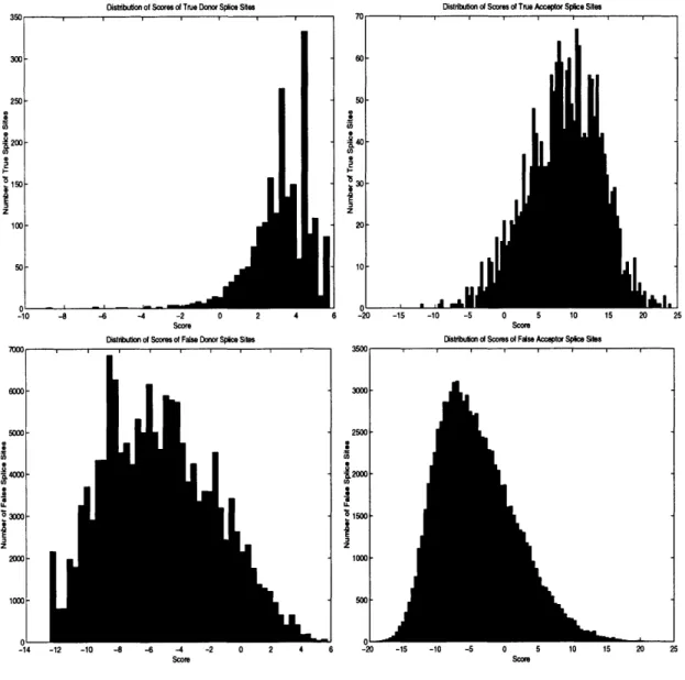 Figure  3-2:  Scores  of True/False  Donor  and  Acceptor  Splice  Sites