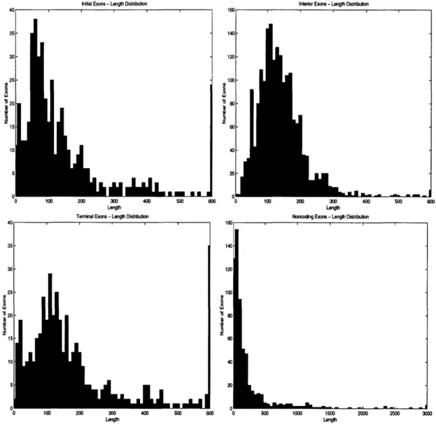 Figure  3-10:  Length  distributions  of coding  and  noncoding  exons  in  genes  with  mul- mul-tiple  exons