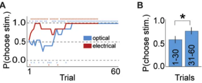 Figure S3. Optical Stimulation Biased Choices in the Absence of Exogenous Reward, Related to Figure 6