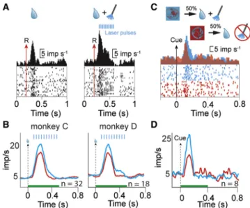 Figure 5. Dopamine-Specific Optogenetic Stimulation Augments Neuronal Response to Reward
