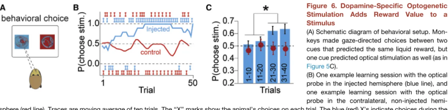 Figure 6. Dopamine-Specific Optogenetic Stimulation Adds Reward Value to a Stimulus
