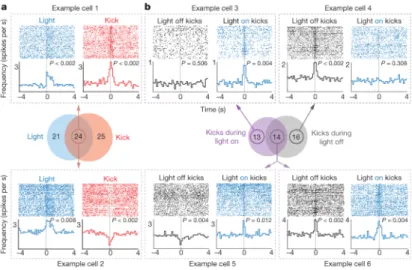 Figure 4. Phasic activation of VTA dopamine neurons modulates NAc encoding of escape-related behaviour