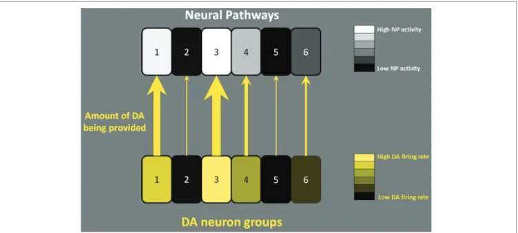 FIGURE 1 | How role of DA neuronal firing. Six separate NPs (e.g., 1: