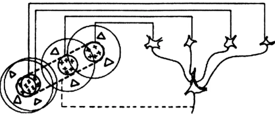 Figure  2-1:  A  possible  scheme  for  explaining  the  elongated  subfields  of simple  receptive field