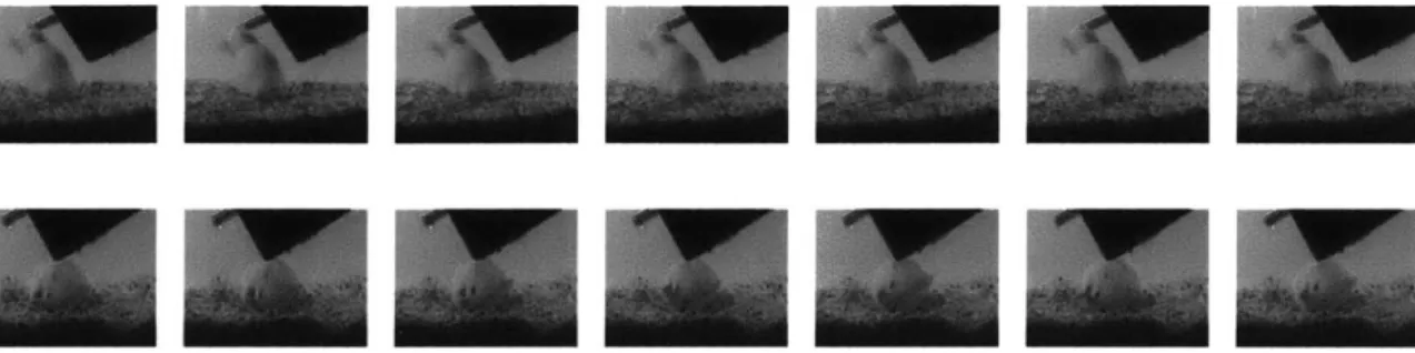 Figure  3-5:  Sample  videos  from the mice  dataset  (1 out  10  frames  displayed  with  a frame rate of 15  Hz) to  illustrate  the  fact that the mice behavior  is minute.
