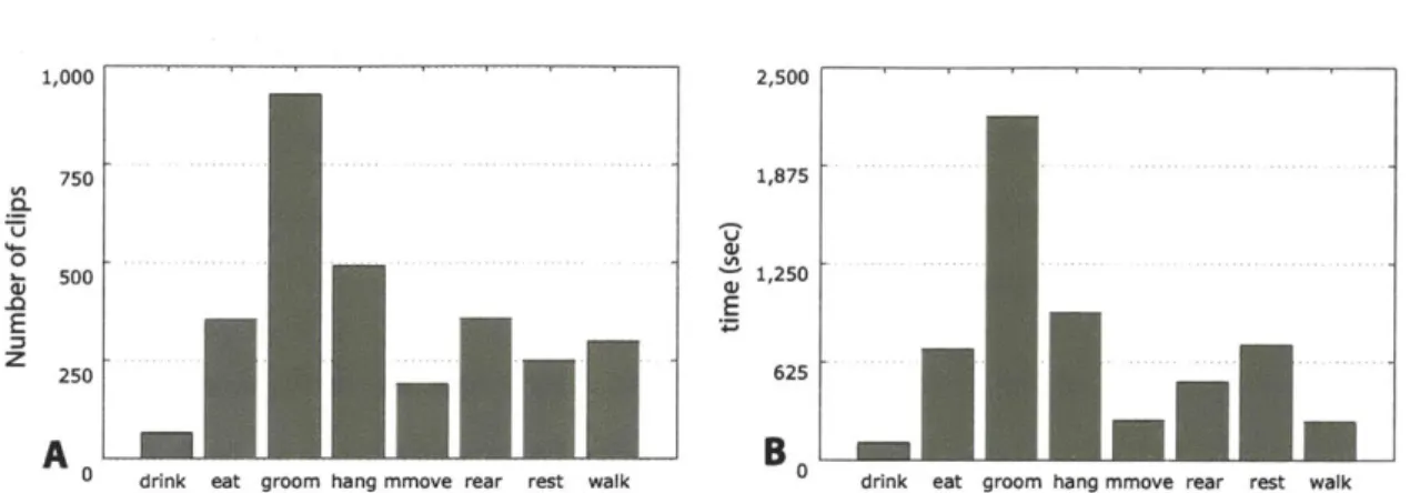 Figure  5-2:  Distributions  of behavior  labels of clips  and (B)  the total time.