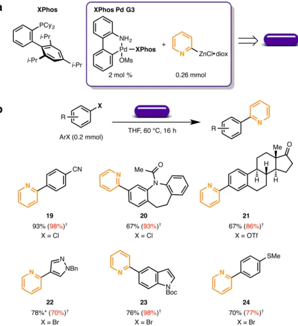 Figure 4. Wax capsules for the Pd catalyzed Negishi cross-coupling of 2-pyridylzinc dioxanate a) Contents of the wax capsule for the Negishi cross-coupling of 2-pyridiylzinc