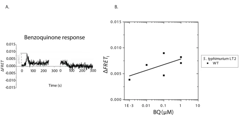 Fig 3. Repellent response to BQ of S . typhimurium LT2. (A) Typical time series of addition (left) and removal (right) of BQ (0.1 μ M) in WT S
