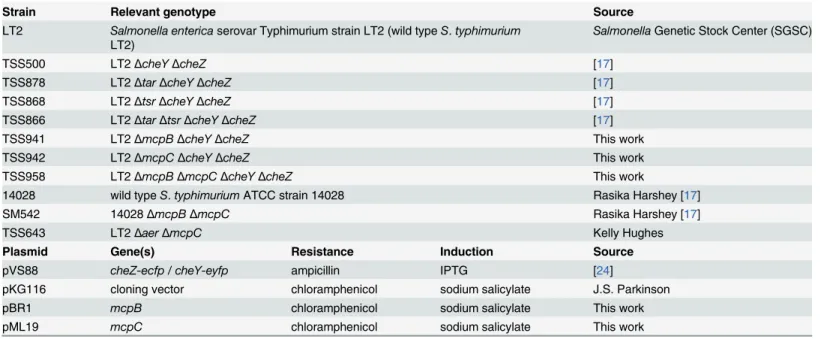 Table 1. Strains and plasmids used in this study.