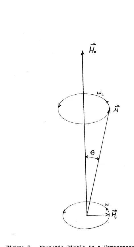 Figure  2.  Magnetic  Dipole  in a Homogeneous  Field  with Oscillatory Perturbations.