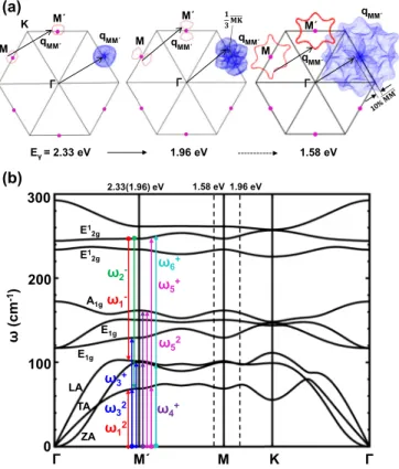 FIG. 4. (Color online) (a) All possible phonon vectors q MM 