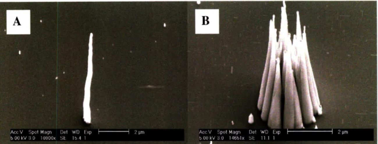 Figure  4-5.  Ni catalyst size:  (a) 1pm in diameter  and 5nm  in thickness and  (b) 3pm in diameter  and 5nm  in thickness.