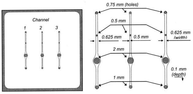 Figure 8:  Top side of the injection molded  part design 0. 75  mm  (holes)