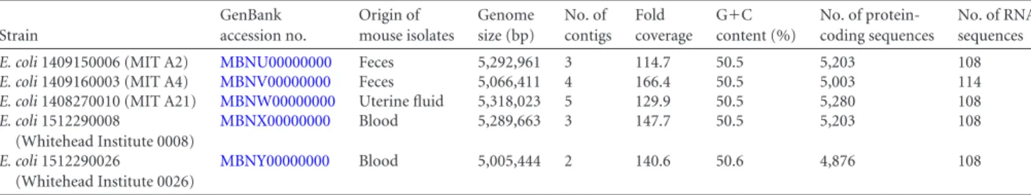 TABLE 1 Genomic characteristics of novel mouse E. coli strains Strain GenBank accession no