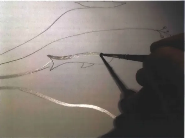 Figure 3.1:  Painting  a fish with silver ink.