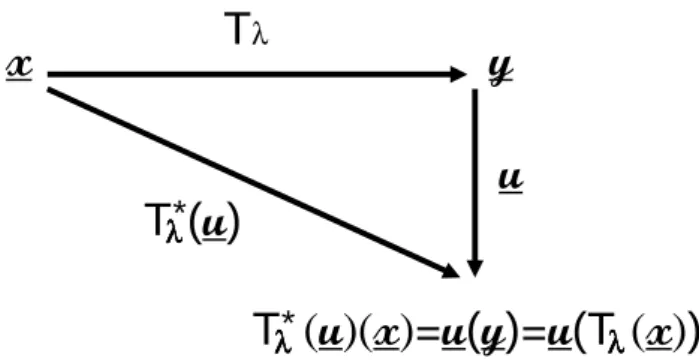 Fig. 2. Scheme of the “pullback” T λ ∗ that pulls back the field u from the coordinates y to x with the help of the (anisotropic) space contraction/dilation T λ .