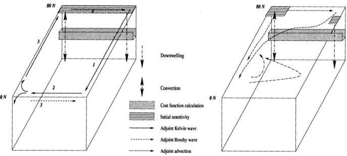 Figure  2-13:  Illustration  of  the  pathways  over  which  information  is communicated  around the  basin  in  the  adjoint  model