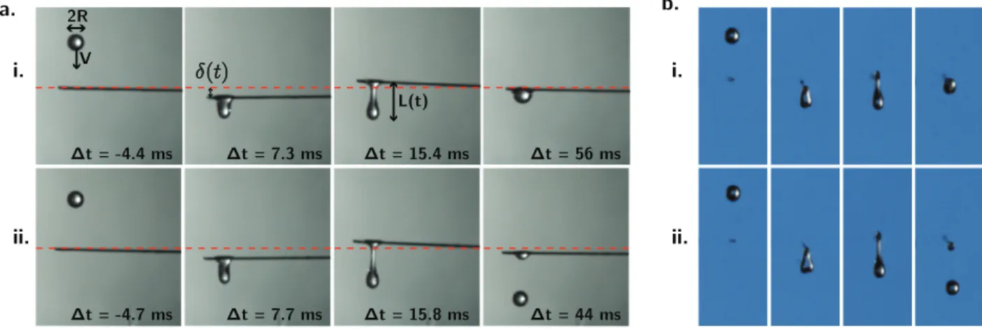 Fig. 2 Side (a) and front (b) view of the typical impact sequence of a drop of radius R = 752 µm on a fiber of radius a = 127 µm and length l = 4.5 cm