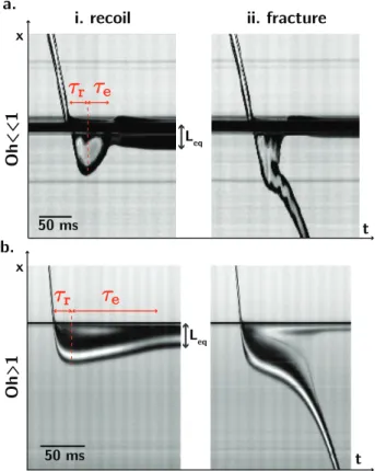 Fig. 5 Impact on a flexible fiber. (a) Kymograph for the impact of a viscous drop (η = 100 cst) of speed V on a fiber of radius a = 127 µm and length l = 5 cm