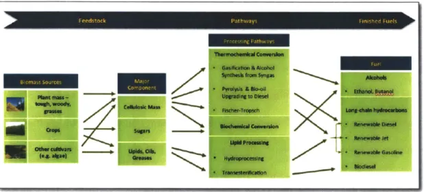 Figure 2-2:  Biofuels production paths
