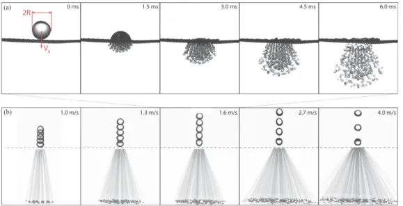 FIG. 1. (a) Time lapse of a water drop of radius R = 1.9 mm impacting at V = 1.6 m/s onto a nonwetting mesh (mesh number 46 and surface fraction φ = 0.48 corresponding to holes of radius b = 190 μm and wire diameter d = 170 μm)
