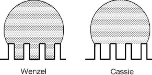 Figure  2 :    Illustrations  of  the  Wenzel  (left)  and  Cassie  (right)  wetting states