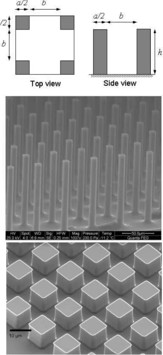 Figure  3 :  Schematic  and  SEM  images  of  a  representative  post  arrays.  Top and side views of a unit cell illustrate definitions of  post  width  a,  spacing  b,  and  height  h