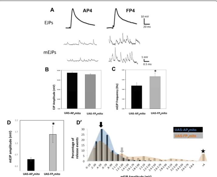 Fig. 5 Presynaptic Ena function regulates spontaneous but not evoked glutamate release