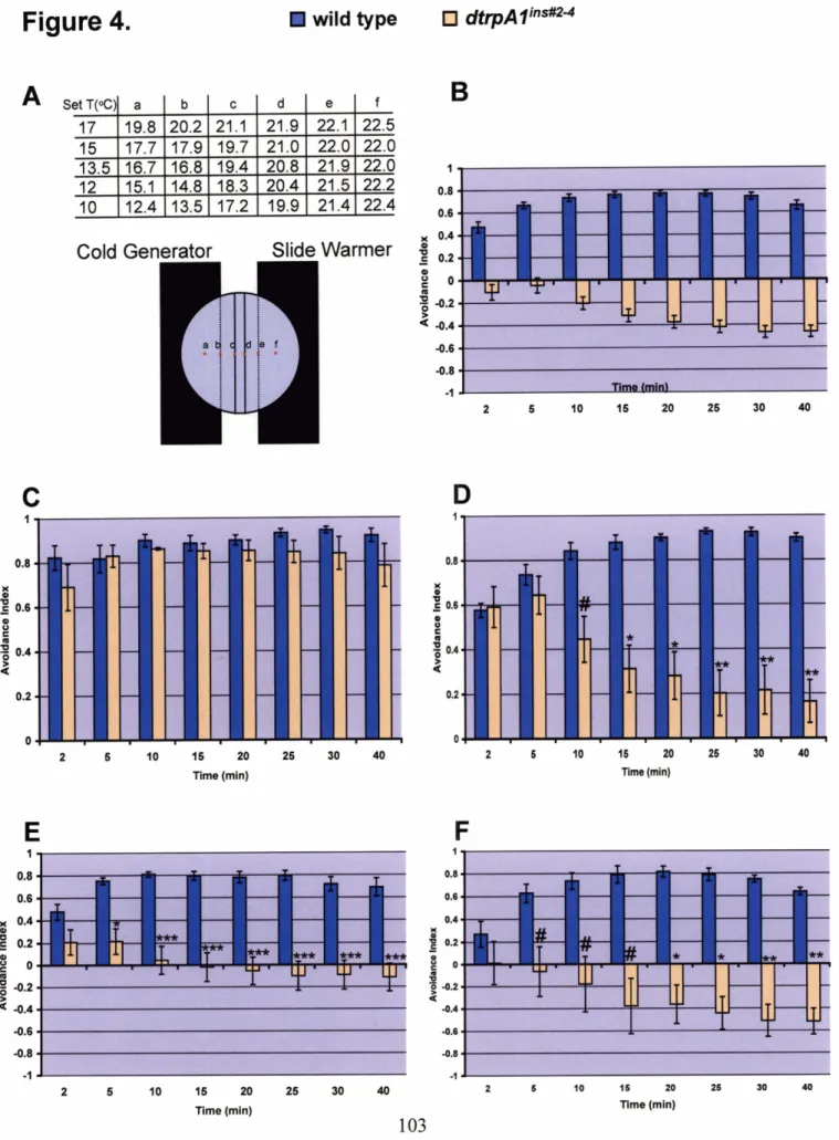 Figure  4.  wild type 