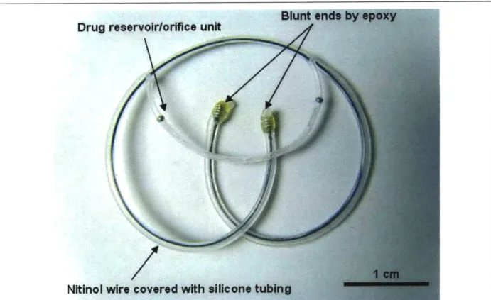 Figure  9.  Completed  form  of  the  device.  Both  ends  of  the  arms can  have  platinum  wires  wound  around the tips  (optional),  and the ends  are embedded  with UV  curable epoxy  to  make  the tips  blunt and smooth.