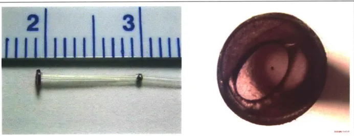 Figure  11.  Device  with  ruby  disc  inserted  (left),  and  the  microscopic  image  of the  orifice  disc  inserted  side (right)