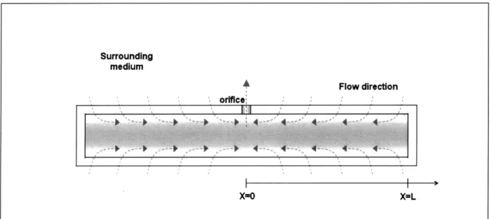 Figure 16.  Tubular osmotic  pump immersed in  bath mediumSurroundingmedium Flow directionorificel-'  I  Ir'&#34;i rAtPr .-I~&#34; ~YI AX-Oi -, ml --I1~S~P~i~i~ I II4X=L