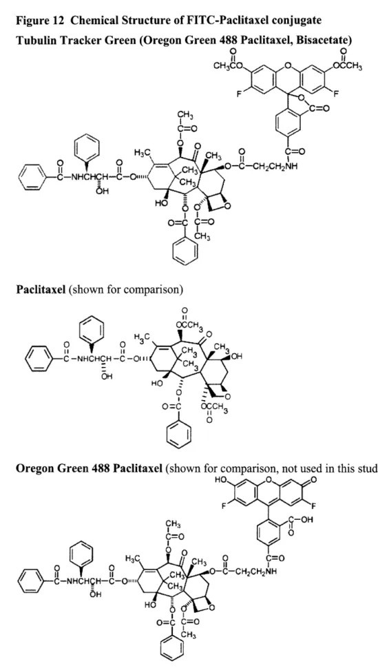 Figure  12  Chemical Structure of FITC-Paclitaxel  conjugate Tubulin Tracker Green (Oregon  Green  488 Paclitaxel,  Bisacetate)