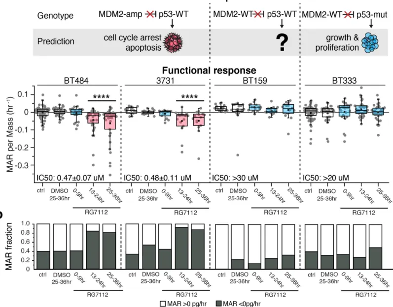 Figure 3: MAR predicts sensitivity of human GBM-PDCLs to targeted therapy. (a) The expected response to  RG7112 is outlined above each cell line, with the red ‘X’ indicating the drug’s ability to block the inhibition of  p53 signaling by MDM2