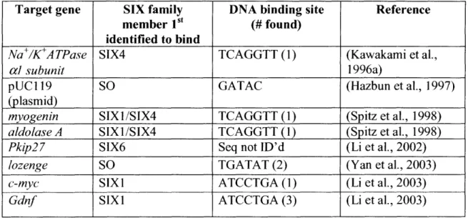 Table  3 - SIX family  target  genes  have  been  identified  in  vertebrates  and  Drosophila