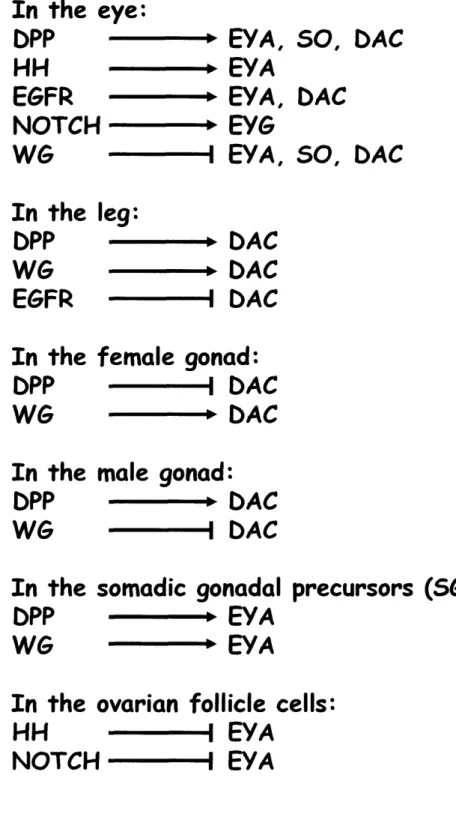 Figure 5: The  relationship between signaling pathways and the RD gene network  is highly  context  dependent