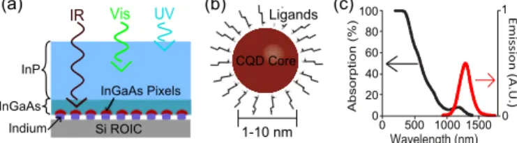 Fig. 1 (a) Cartoon of flip-chip InGaAs FPA with InP substrate. SWIR light passes through the InP substrate and is collected in the active region of the pn junction