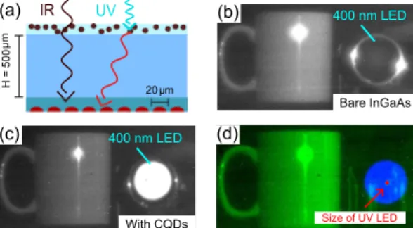 Fig. 4 (a) Cartoon of InGaAs FPA with CQD LDS layer deposited on the surface. (b) Image of a mug and a 400 nm emitting LED taken with the InGaAs FPA before deposition of the LDS layer