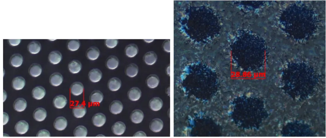 Figure 1-3: A micrograph of the 115µm-tall pillar SU-8 stamp (top) used to pattern circles of Alq 3 (bottom ) [1]