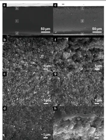 Figure   6.   Scanning   electron   microscopy   images   of   the   cross-­‐sections   of   (a-­‐d)   new    and   (e-­‐h)   aged   LISICON   plates