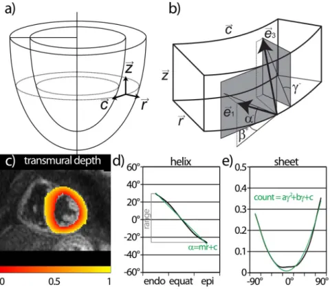 Figure 2. Definition of fiber and sheet angles. A local orthonormal basis is defined (a) (radial: ~ rr, circumferential: ~ cc, longitudinal: ~ zz)