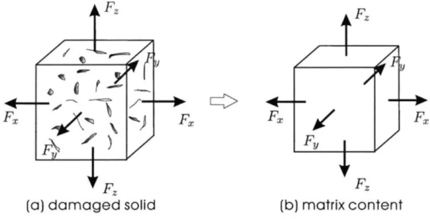 Figure  4.3:  A  schematic  drawing  of the  damage  containing  solid  and  the  matrix  material.