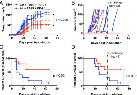 Fig. 5. Combination CD47 and PD-L1 blockade potentiates the vaccinal effect of antitumor antibody immunotherapy against syngeneic B16-F10 tumors.