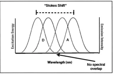 Figure 8: The  effective total  "Stokes  Shift"  of a multi-dye  system undergoing  energy transfer